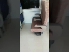 12 meses de trem Rotatable Seat MOQ 100PCS da garantia